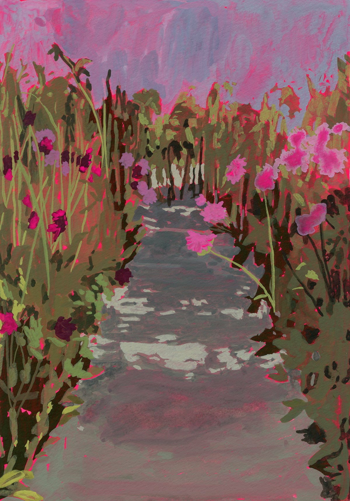 Dahlia Field 04-image-1