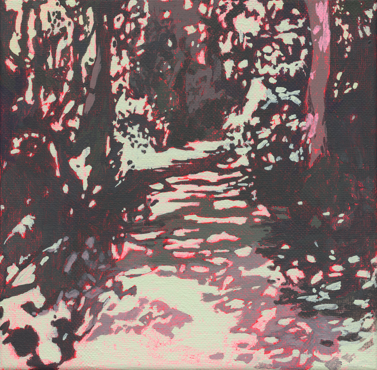 'Dappled Path, Rembrandtpark' Fine Art Print