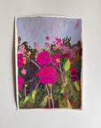 Dahlia Field 06
