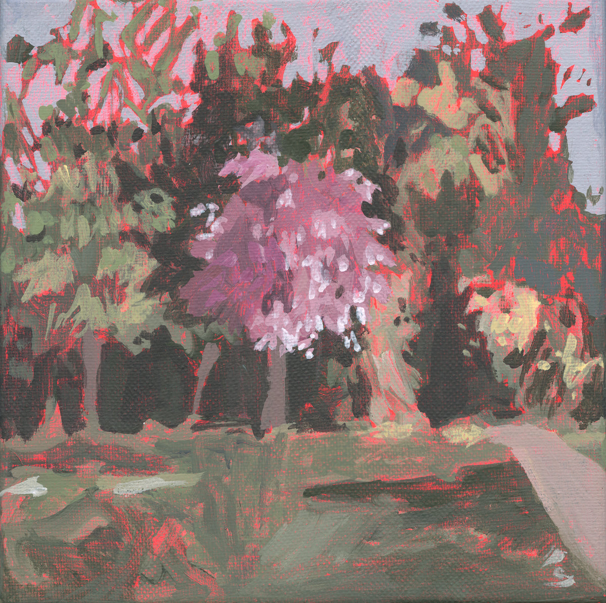 'Purple Tree, Vondelpark' Fine Art Print