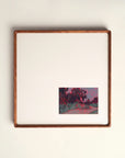 Schilderij 'Septemberzon'